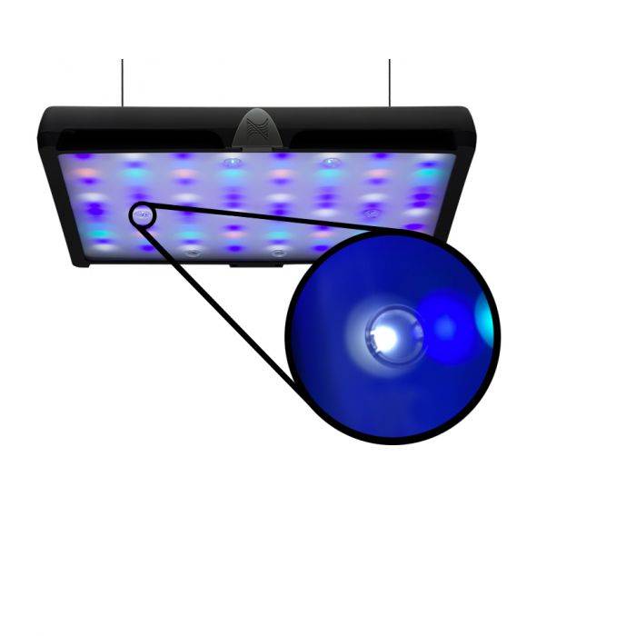 Neptune Systems SKY Diffused Shimz - Neptune Systems