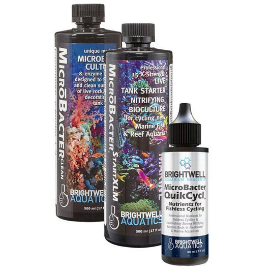 Brightwell Aquatics Microbacter Dry Rock Bacteria Starter Kit