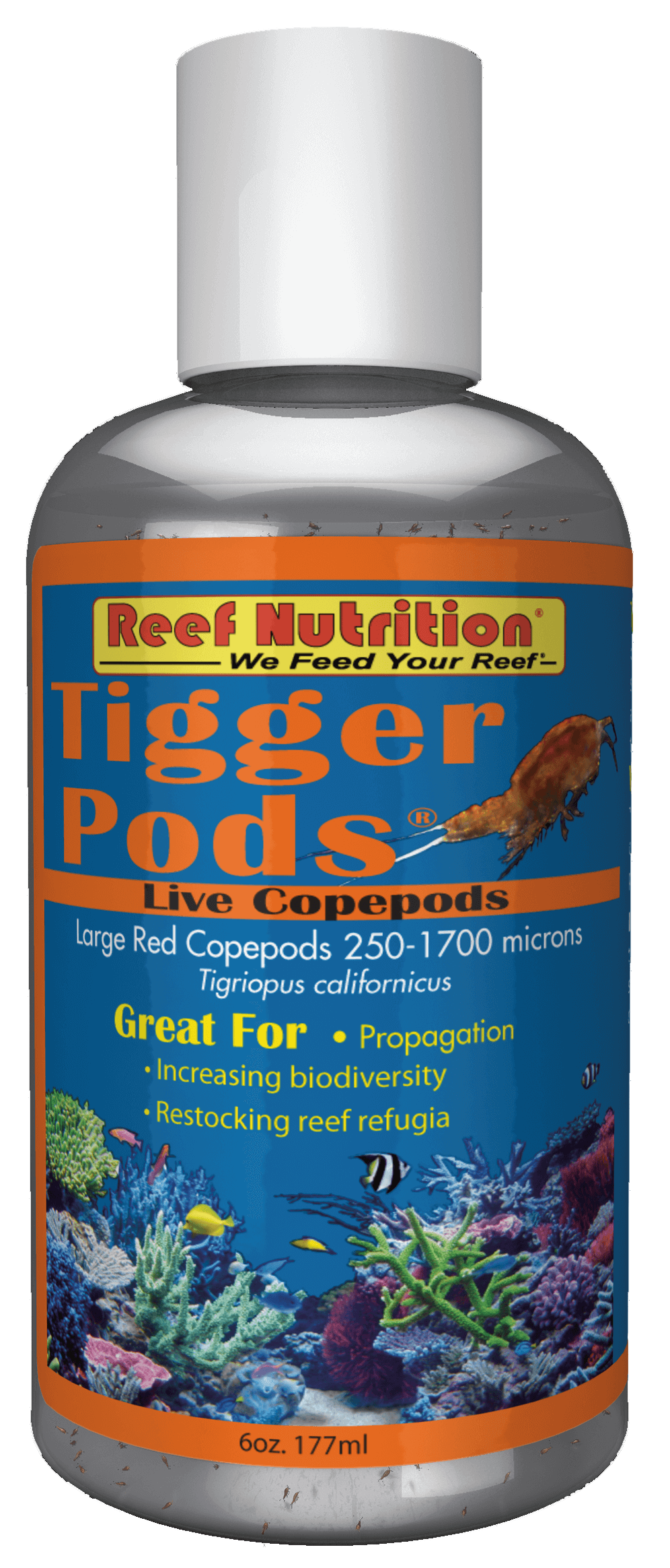 Reef Nutrition Tigger copepods 6oz (Live)